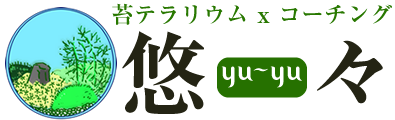 苔×コーチング悠々